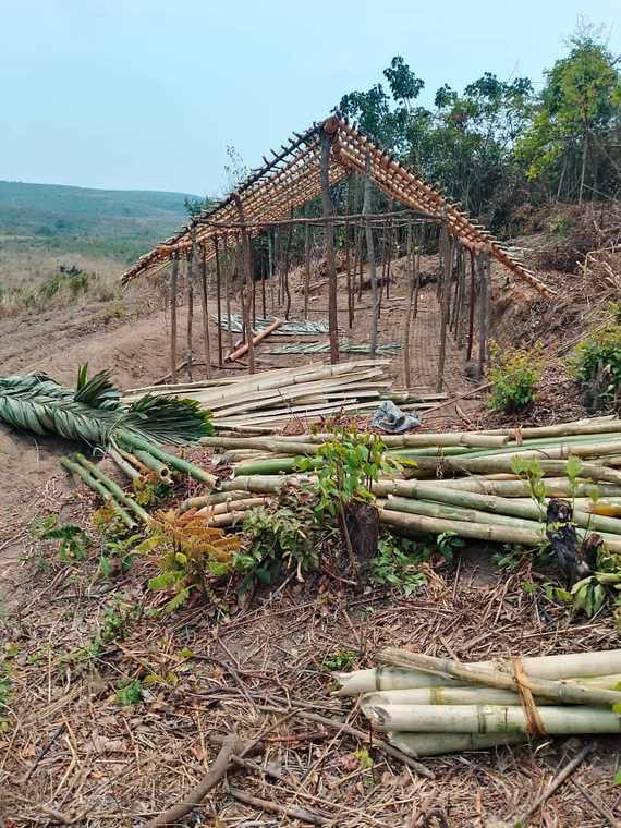 Construction d'un hangar en bambou sur le domaine de Luilansi