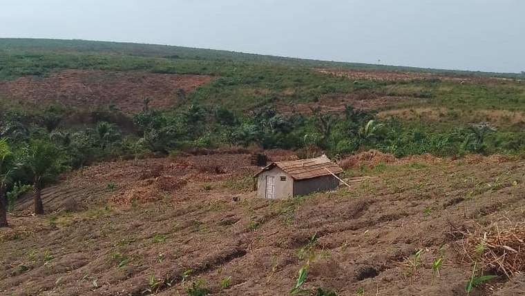 Le domaine de Luilansi à Kasangulu : parcelles labourées et abri de culture